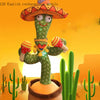 Dancing Cactus